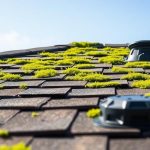 prevent rooftop mold accumulation