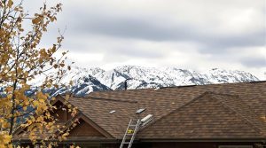 roof repair and installation parker