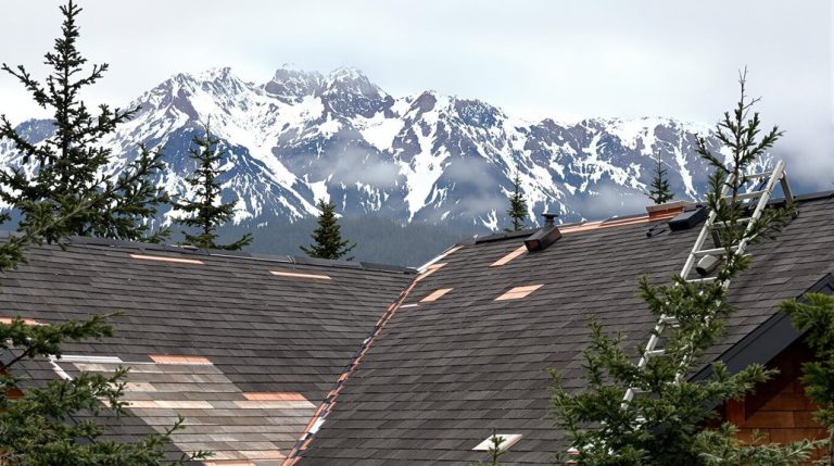 roof repair installation lazy acres