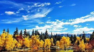 colorado s greenwood village location