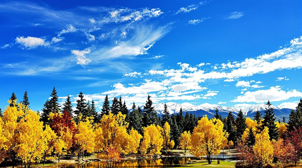 colorado s greenwood village location
