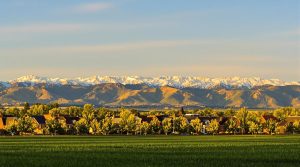 windsor colorado location details